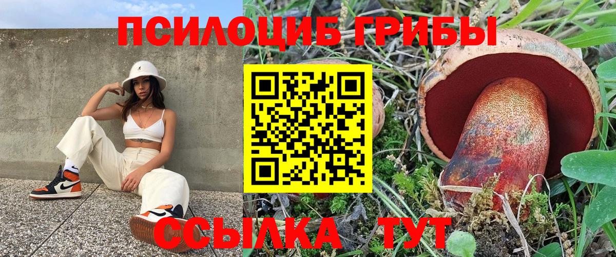 Псилоцибиновые грибы мухоморы Вятские Поляны